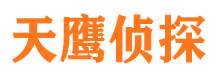 长江新区市侦探公司